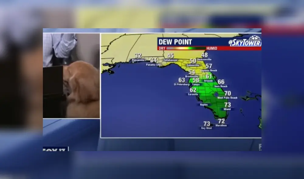 Desliza hacia la izquierda para ver más del video viral. Desliza hacia la izquierda para ver más del video viral.