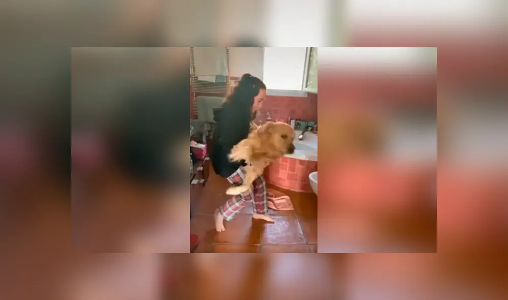 Desliza las imágenes hacia la izquierda para conocer la reacción de un perro tras obedecer a su dueña.