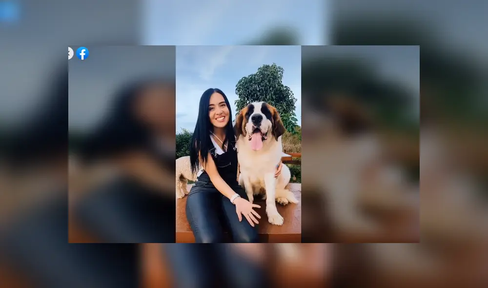 Desliza para ver los detalles del video viral publicado en YouTube. Foto: Captura.