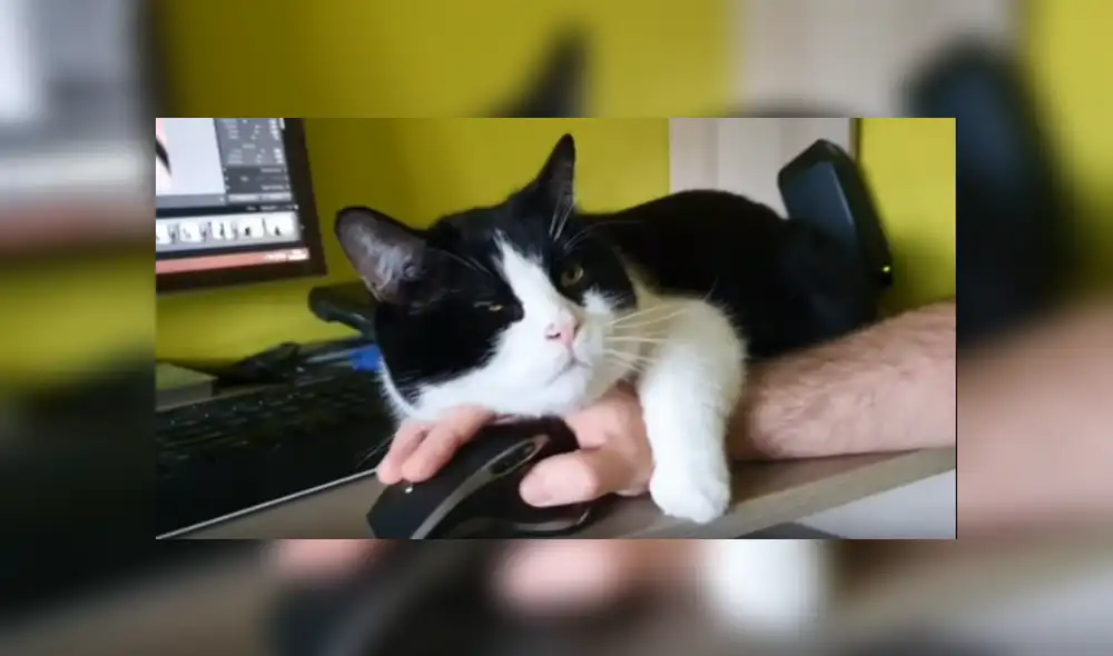 Desliza hacia la izquierda patra ver más del video viral Desliza hacia la izquierda patra ver más del video viral