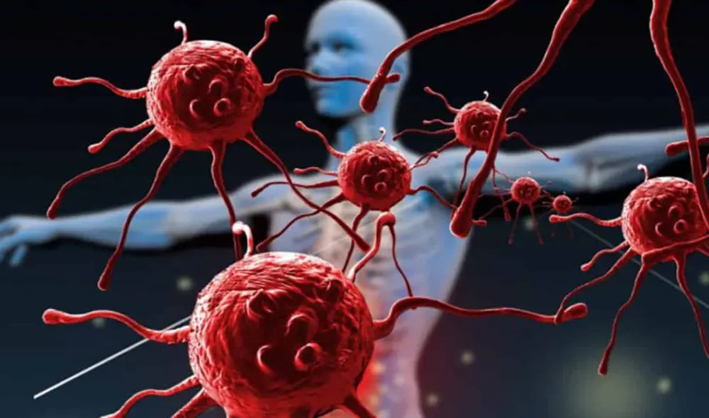 El VIH se puede transmitir mediante relaciones sexuales y jeringas infectadas | Foto: Health Web El VIH se puede transmitir mediante relaciones sexuales y jeringas infectadas | Foto: Health Web