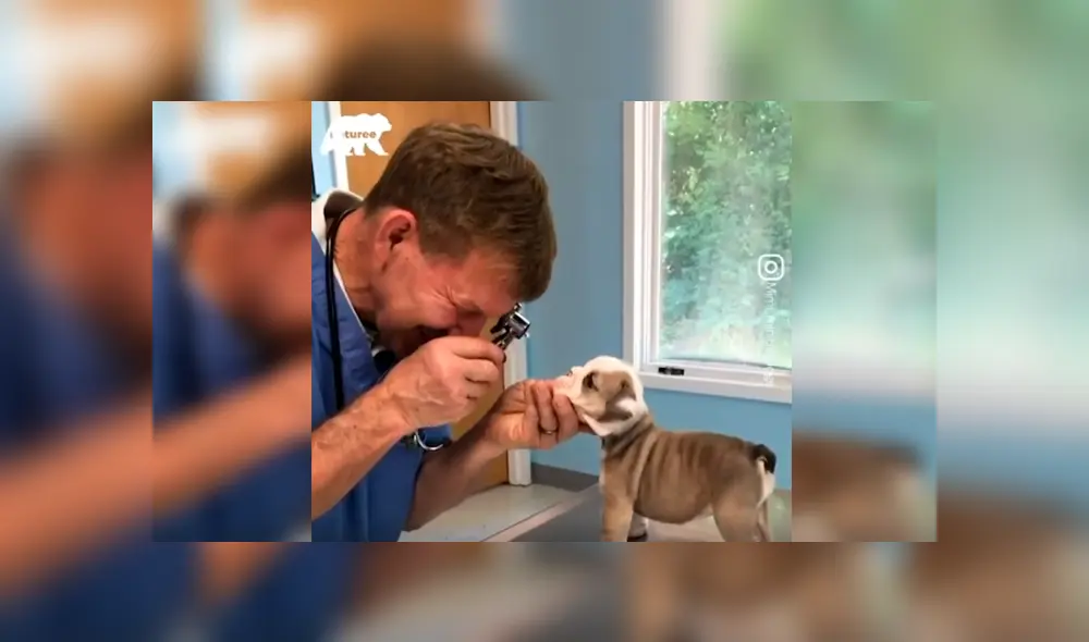 En Facebook, un cachorro sorprendió con su curioso comportamiento al ser revisado por el veterinario.