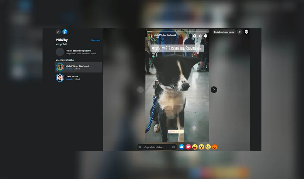 Modo Oscuro de Facebook.