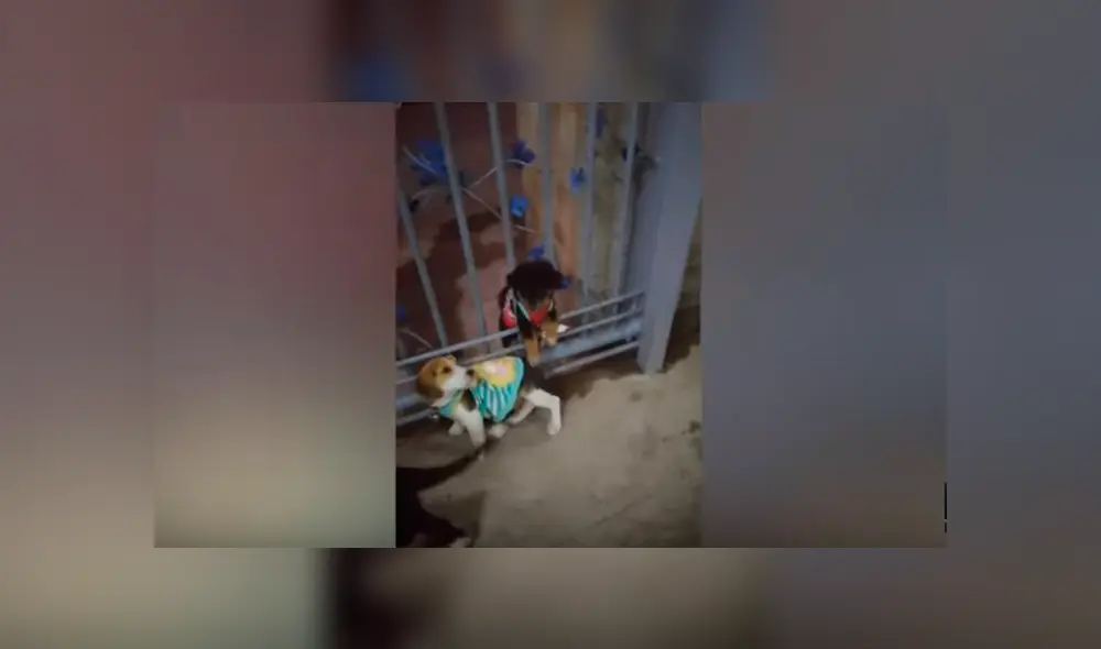 Desliza hacia la izquierda para ver el conmovedor reencuentro publicado en Facebook.