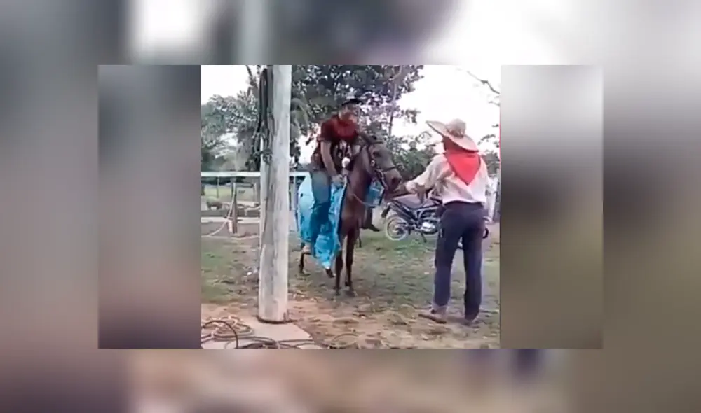 Facebook viral: chico confunde mula salvaje con caballo, se monta y pasa vergüenza [VIDEO] 