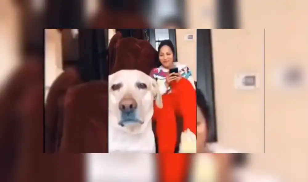 Desliza hacia la izquierda para ver más del video viral Desliza hacia la izquierda para ver más del video viral