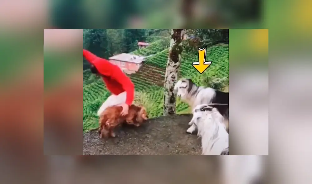 Desliza para ver todas las imágenes de Facebook.