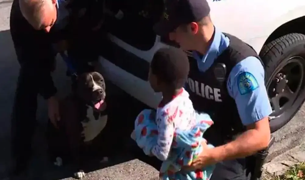 Facebook - animales Facebook - animales