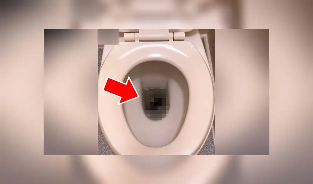 Video se viralizó en YouTube. Un chico quedó aterrado tras ver cómo una asquerosa criatura emergió del desagüe y buceó en el agua de su inodoro. Video se viralizó en YouTube. Un chico quedó aterrado tras ver cómo una asquerosa criatura emergió del desagüe y buceó en el agua de su inodoro.