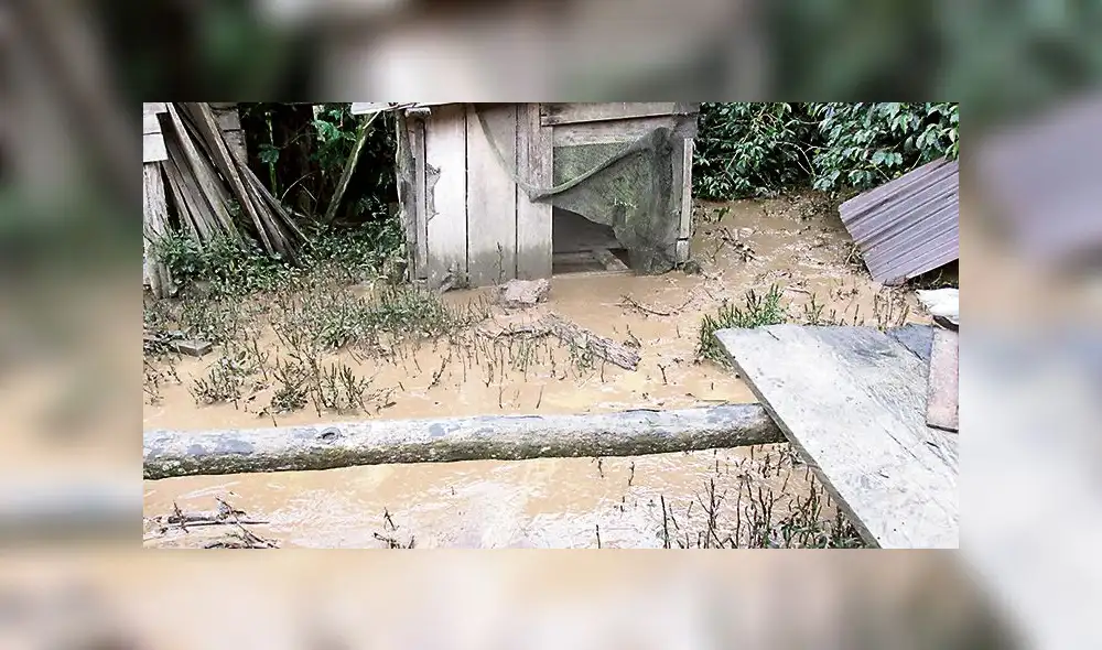 Lluvias siguen causando estragos en selva de Puno