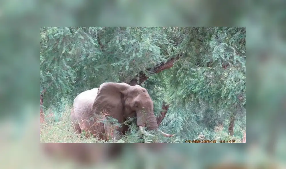 Desliza para ver las fotos que conmovieron a miles en Facebook. Foto: Captura. Desliza para ver las fotos que conmovieron a miles en Facebook. Foto: Captura.