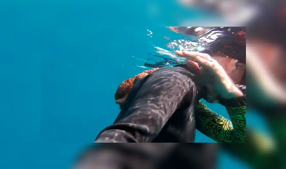 Un buzo quedó en shock luego de toparse con una extraña criatura en la profundidad del mar. Un buzo quedó en shock luego de toparse con una extraña criatura en la profundidad del mar.