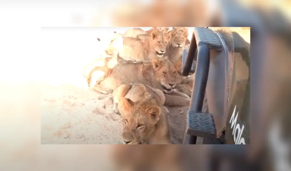 Desliza la imagen de YouTube para ver todas las imágenes. Desliza la imagen de YouTube para ver todas las imágenes.