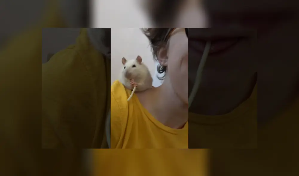 Desliza para ver el desenlace de este video viral publicado en YouTube. Foto: Captura. Desliza para ver el desenlace de este video viral publicado en YouTube. Foto: Captura.