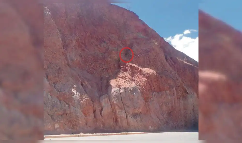 Perro Cajamarca Perro Cajamarca