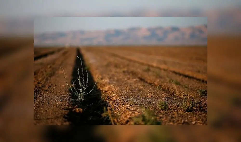 Foto: AFP. Foto: AFP.