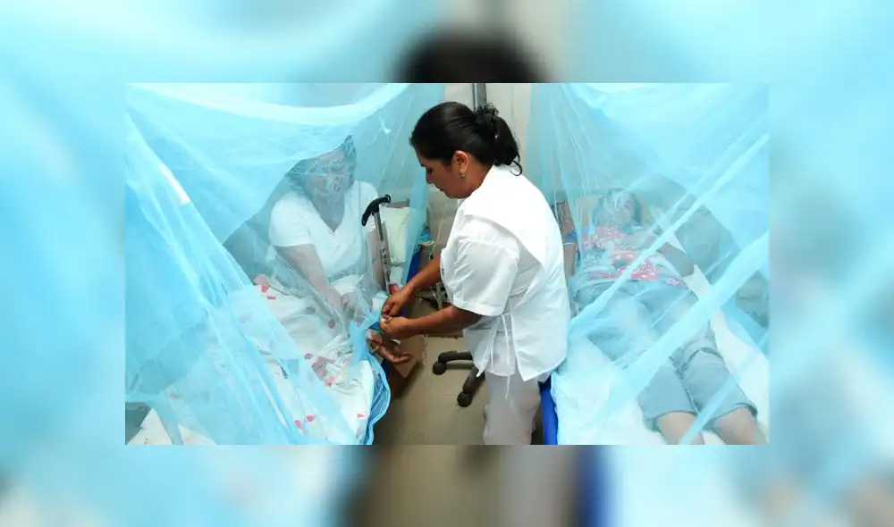 El aumento de casos se debería a una nueva variante del dengue denominada DEN-2 Cosmopolitan.