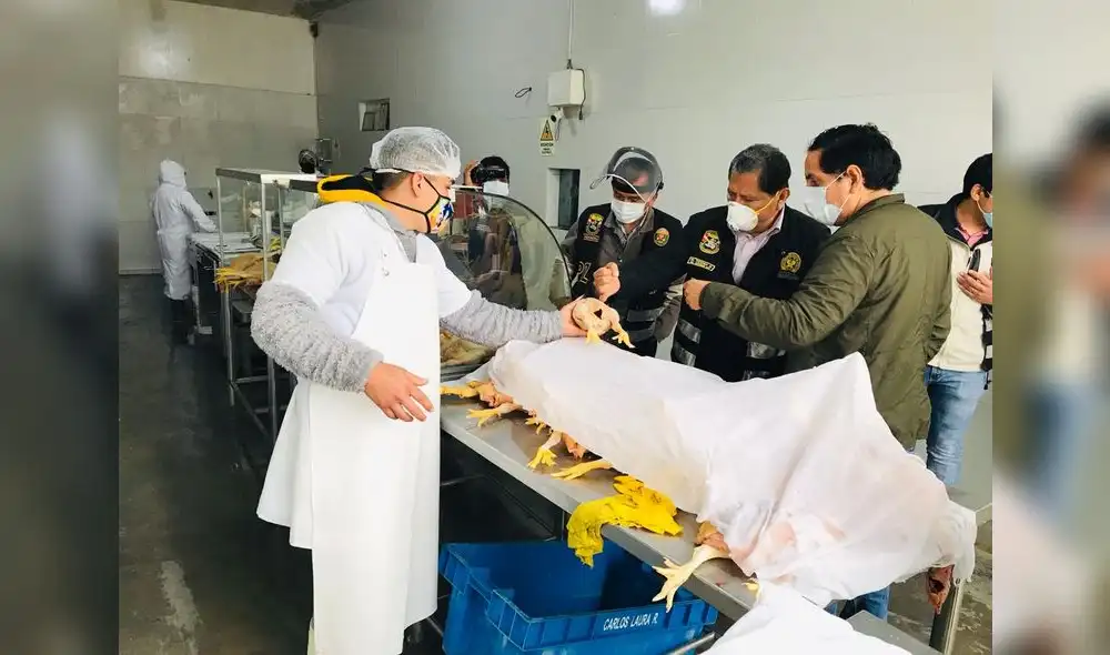 En uno de los inmuebles clausurados se expendían pollos congelados y se evidenció la presencia de insectos. Créditos: Municipalidad de San Luis