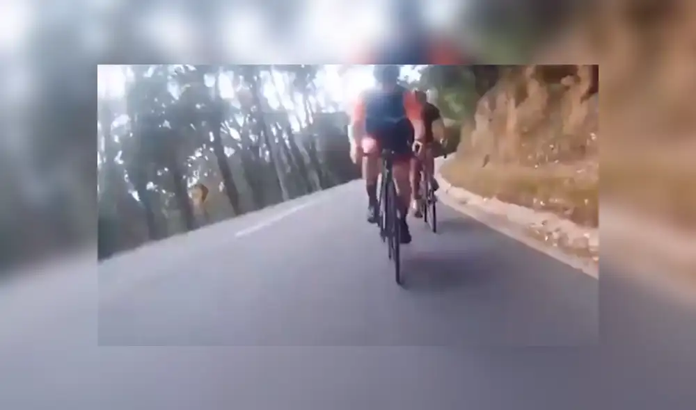 Ciclistas se accidentan al atropellar a curioso animal [VIDEO]