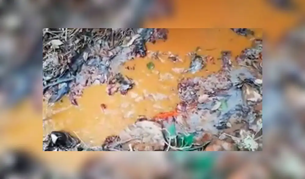 Agricultores acusan a minera por envenenarlos con agua contaminada [VIDEO]