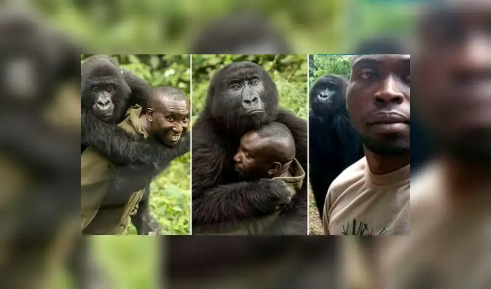 La tierna dupla conmovió a miles de internautas. Foto: captura de TikTok