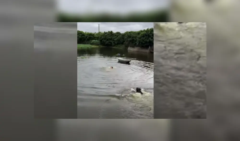 Desliza hacia la izquierda para ver más del video viral. Fotocaptura: YouTube Desliza hacia la izquierda para ver más del video viral. Fotocaptura: YouTube