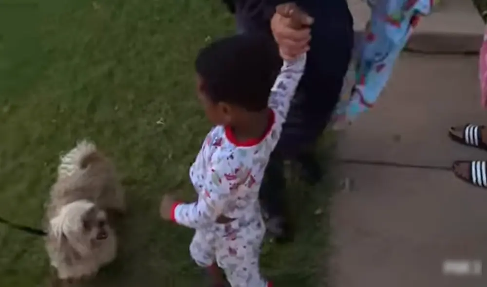 Facebook - animales Facebook - animales