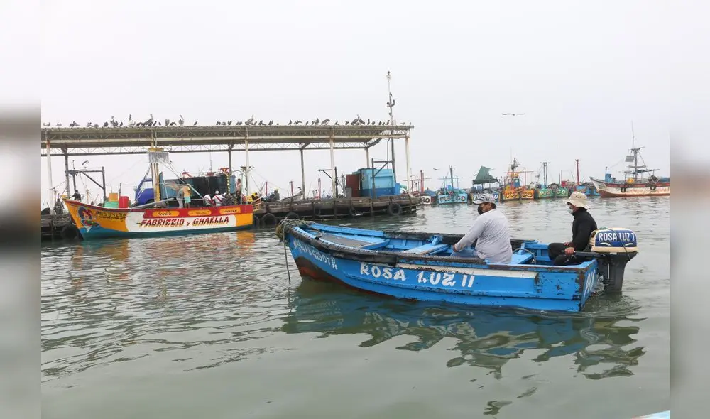 Puerto de San Andrés, donde confluyen algueros y pescadores artesanales. Foto: UCSUR