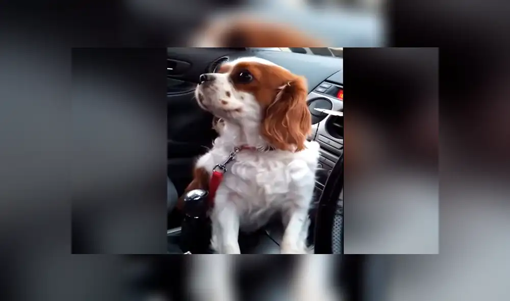 Desliza para ver los momentos más divertidos del video que se hizo viral en YouTube.