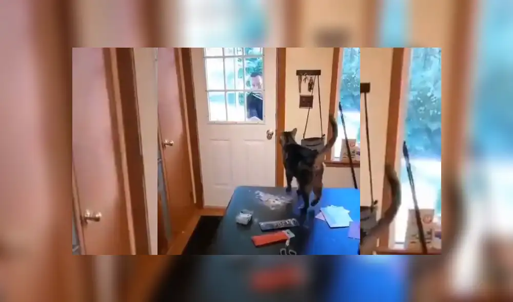 Desliza hacia la izquierda para ver más del video viral. Fotocaptura: Twitter