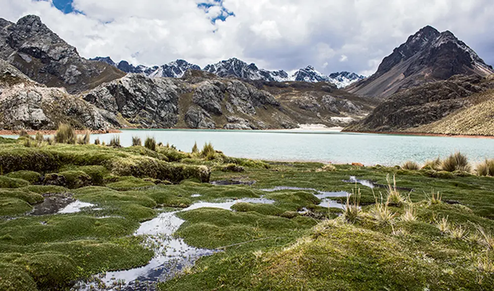 Modelo. Bofedales de Canchis. Así deberían quedar los bofedales recuperados de Milloc. Modelo. Bofedales de Canchis. Así deberían quedar los bofedales recuperados de Milloc.