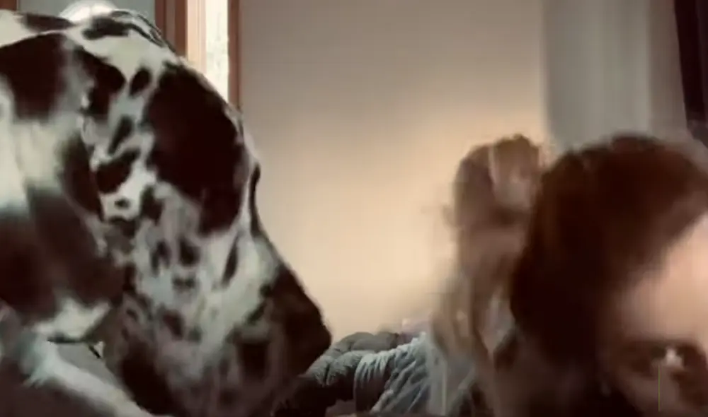 Desliza hacia la izquierda para ver las imágenes del video viral. Foto: Captura de YouTube.