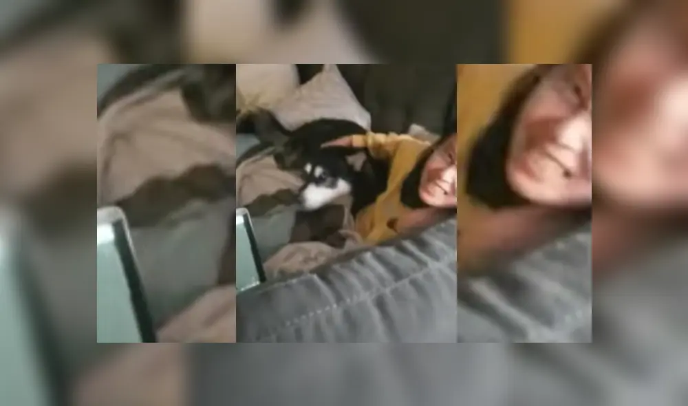 Desliza hacia la izquierda para ver las fotos del viral