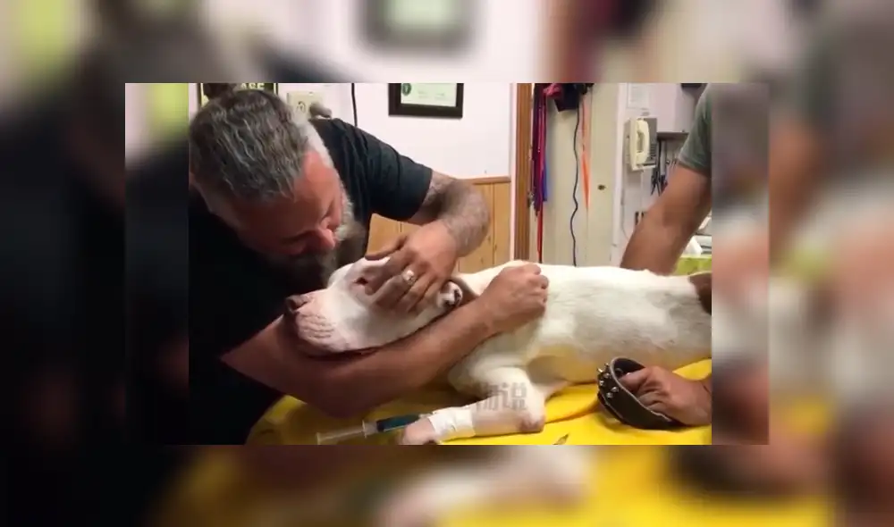 Video es viral en Facebook. El dueño del can rompió en llanto y protagonizó una conmovedora escena al darle el último adiós a su fiel perro que lo había acompañado por 14 años