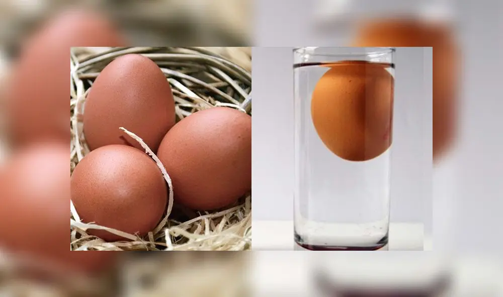 ¿Cuánto duran los huevos y cómo saber si están buenos o malos? Foto: Pixnio y captura web 'Yo como bien'.
