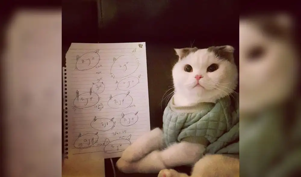 Ahn Jae Hyun alegra a sus seguidores de Instagram con una actualización sobre ‘Ahnjoo’ Ahn Jae Hyun alegra a sus seguidores de Instagram con una actualización sobre ‘Ahnjoo’