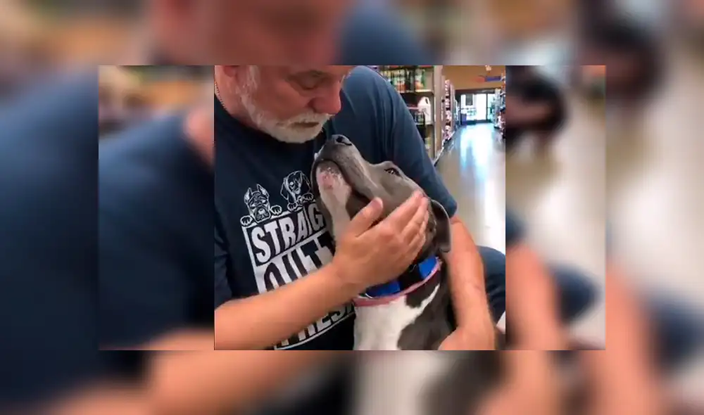 En Facebook, un señor acudió a un albergue de animales para adoptar a un perro y no imaginó la reacción que tendría.