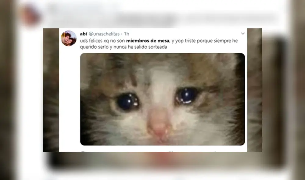 Los mejores memes del sorteo de miembros de mesa. Fuente: Redes Sociales Los mejores memes del sorteo de miembros de mesa. Fuente: Redes Sociales