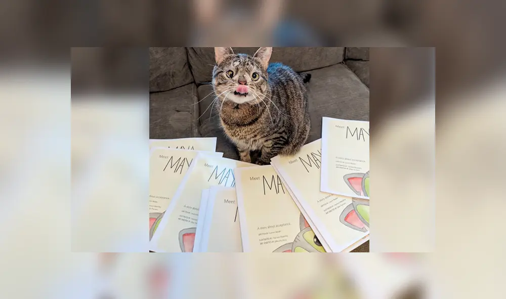 La popularidad de Maya creció luego de la publicación del libro.