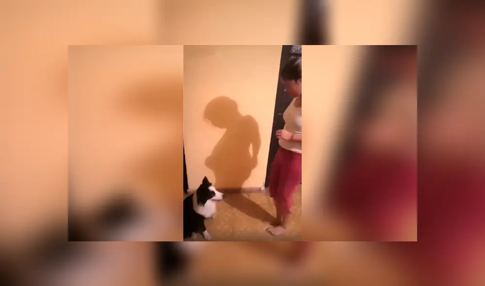 Desliza las imágenes para apreciar los divertidos pasos que realizó un perro con su dueña para cumplir un reto.