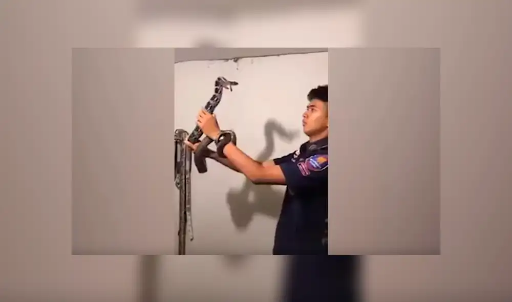 El rescatista halló la verdadera identidad de la criatura venenosa.