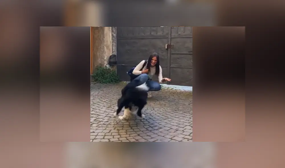 A través de Facebook se hizo viral el conmovedor reencuentro entre una joven y su perro.
