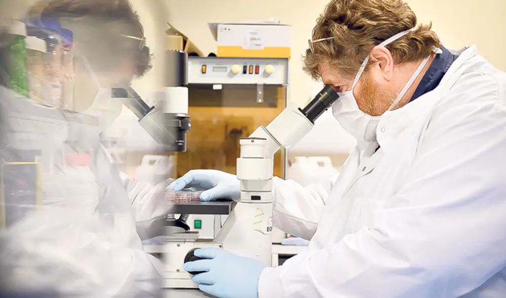 Prototipos. Varios organismos desarrollan potenciales vacunas contra la COVID-19.(Foto: AFP) Prototipos. Varios organismos desarrollan potenciales vacunas contra la COVID-19.(Foto: AFP)