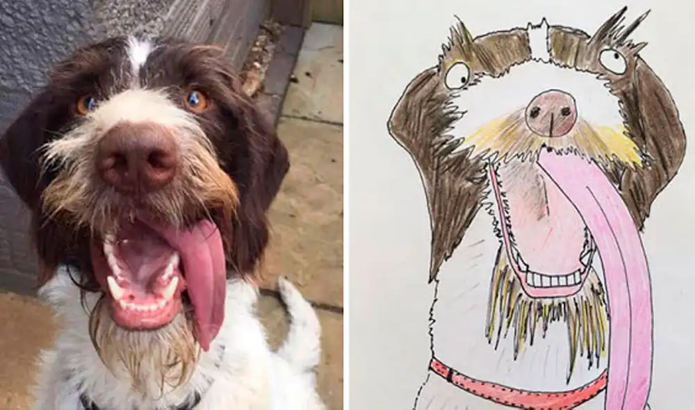 Desliza las imágenes hacia la izquierda para apreciar los dibujos de animales realizados por un joven. Fotos: Pet Portraits By Hercule.