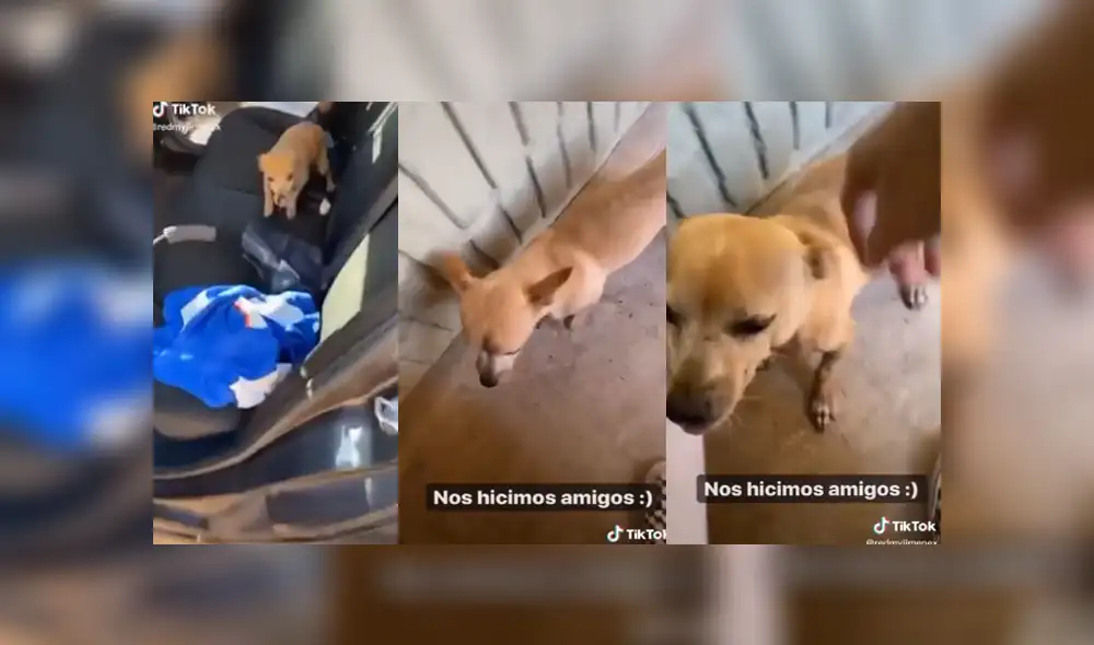 Desliza para ver los detalles del video viral publicado en Facebook. Foto: Captura.