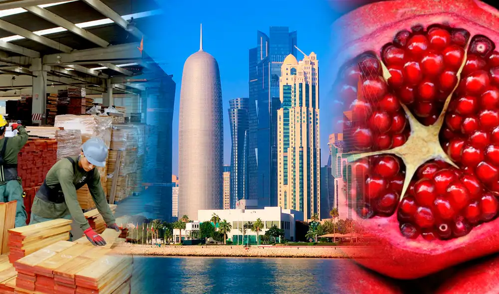 Foto: composición LR/Adex Foto: composición LR/Adex