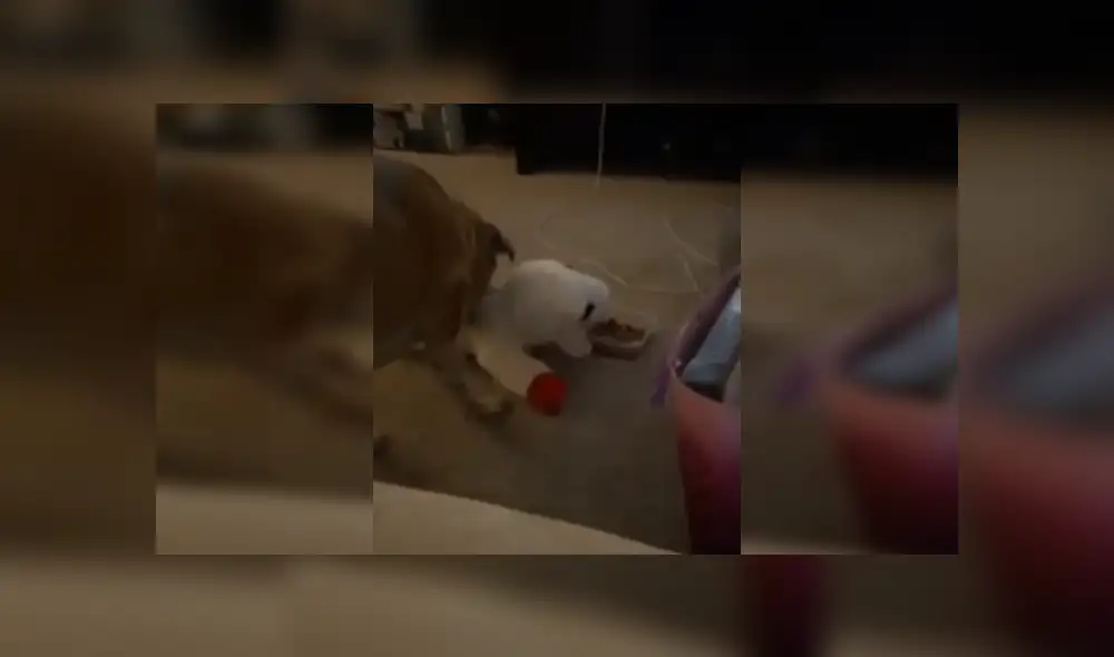 Desliza las imágenes para ver más detalles de esta conmovedora escena que es viral en Facebook.