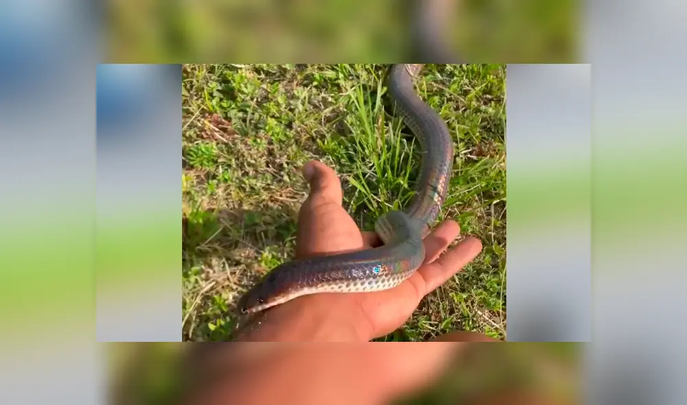 Desliza hacia la izquierda para ver lo que sucedió con el joven en el video viral de Facebook.