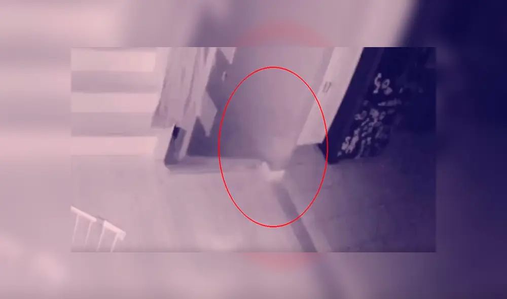 Video es viral en YouTube. El hombre quedó con los ‘pelos de punta’, luego de ver el video de vigilancia que mostró lo que sucede en su casa cuando es de noche. Foto: Captura. Video es viral en YouTube. El hombre quedó con los ‘pelos de punta’, luego de ver el video de vigilancia que mostró lo que sucede en su casa cuando es de noche. Foto: Captura.