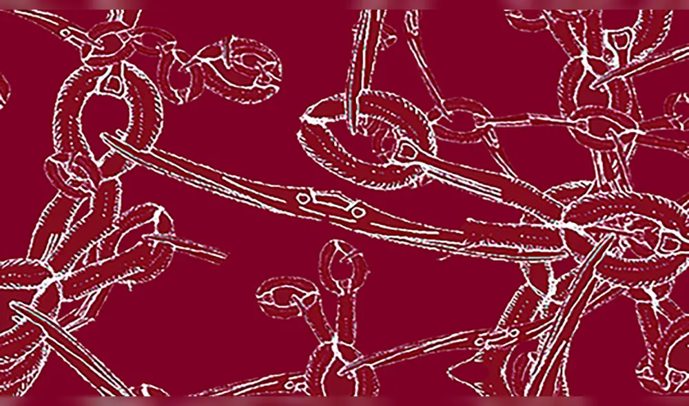 LA MADRE: Proyecto de investigación y memoria sobre las esterilizaciones forzadas en Perú LA MADRE: Proyecto de investigación y memoria sobre las esterilizaciones forzadas en Perú